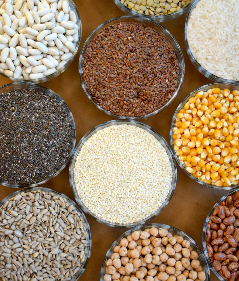 Pulses & Grains