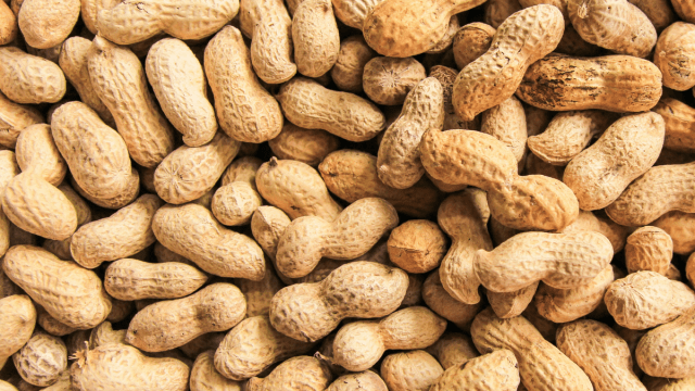 Peanuts