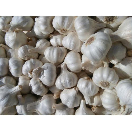 Ooty Garlic