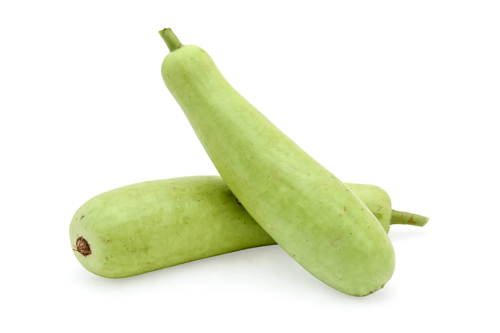 Bottle gourd
