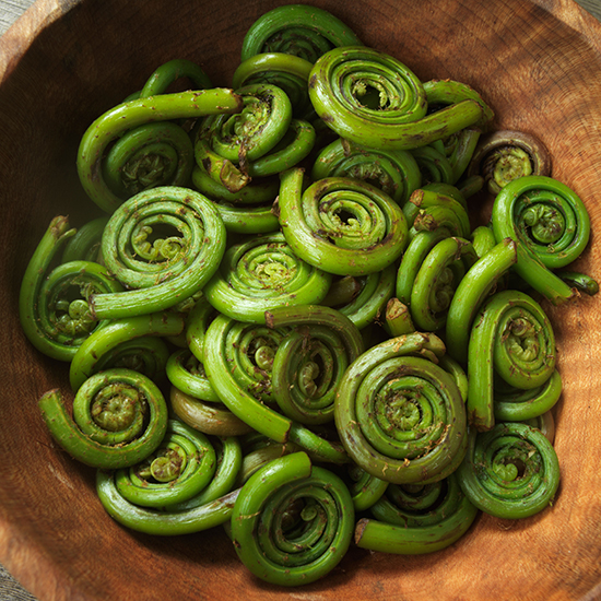 Fiddlehead